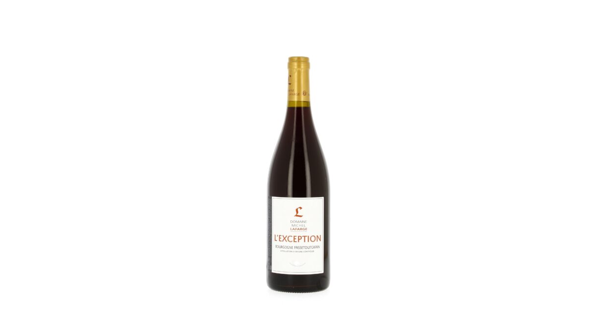 Bourgogne Passetoutgrain L'Exception - 2020 - Domaine Michel Lafarge
