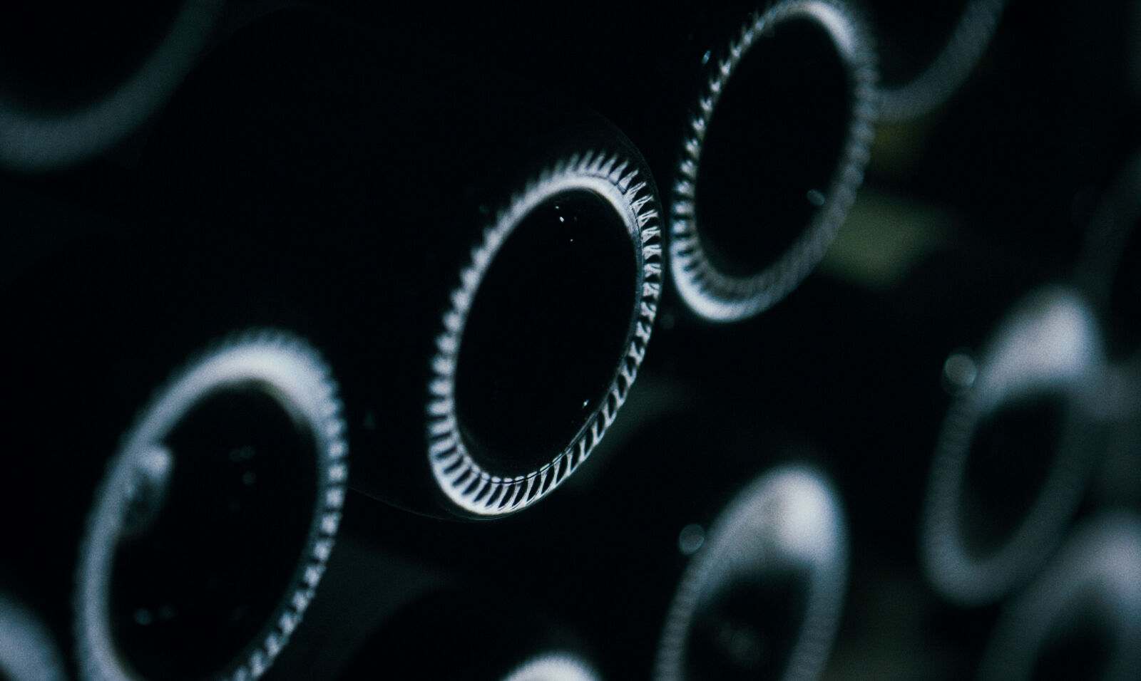 Age eligibility check Wengler